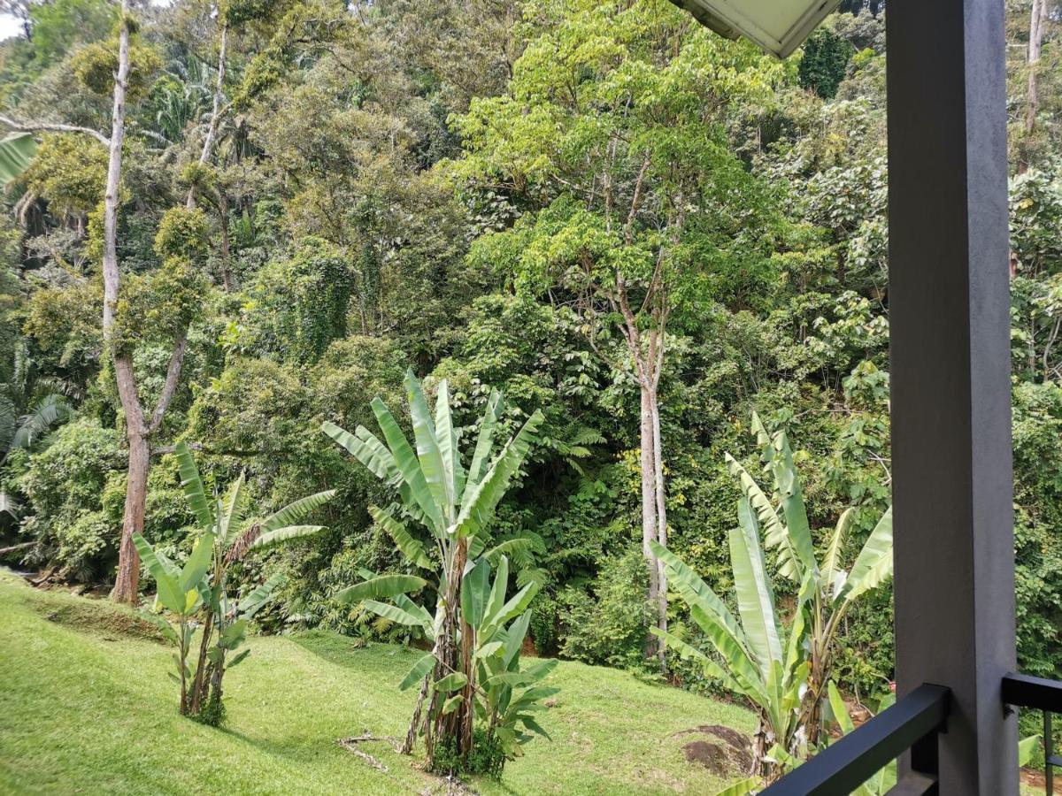 เซเมนตรา เนเจอร์ รีสอร์ท Gopeng ภายนอก รูปภาพ